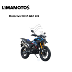 MAQUIMOTORA GSX 300